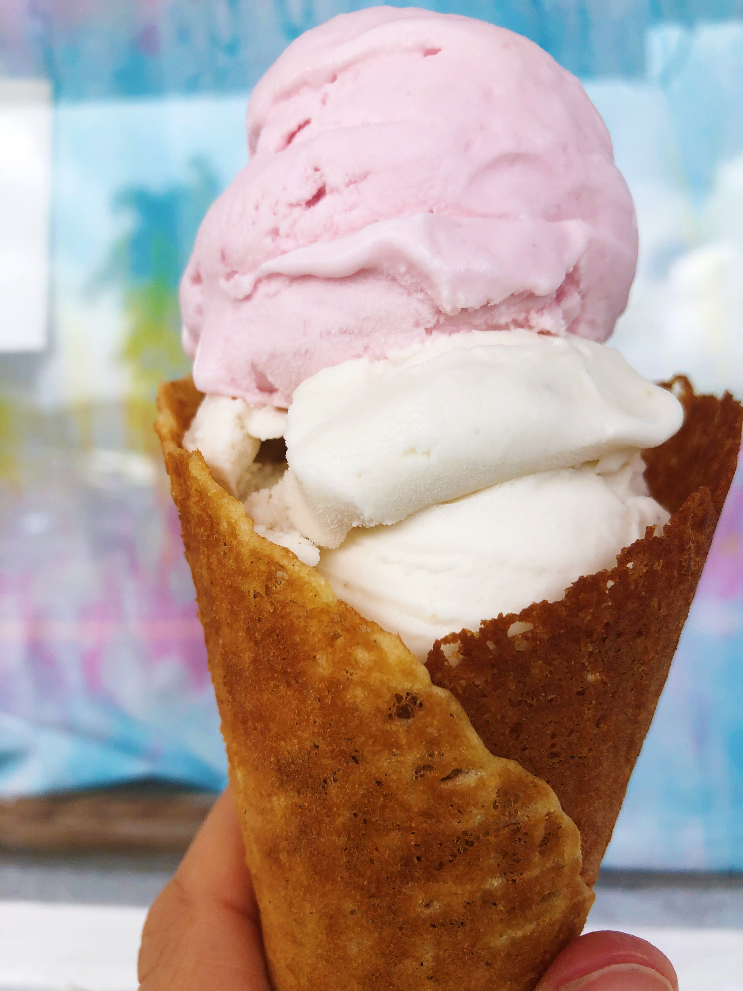 Our Gelato — Nicoco Hawaiian Gelato